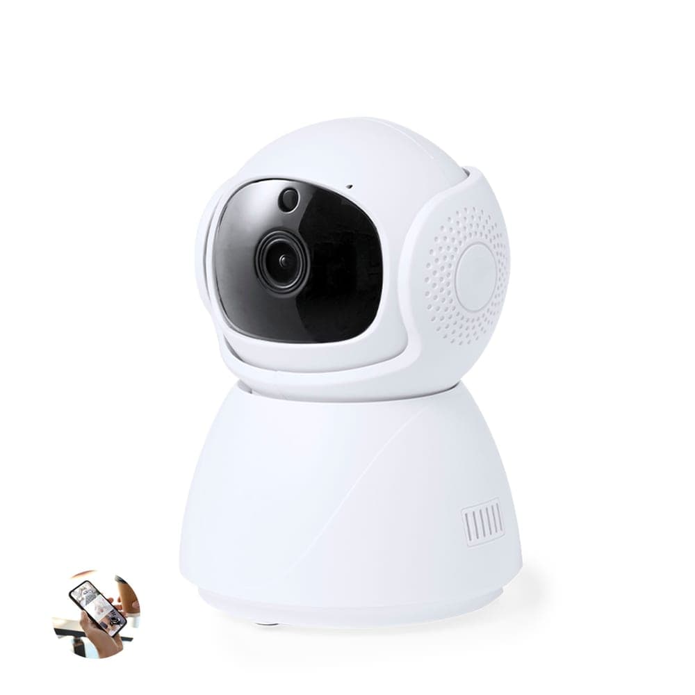 Vidéosurveillance Intelligente