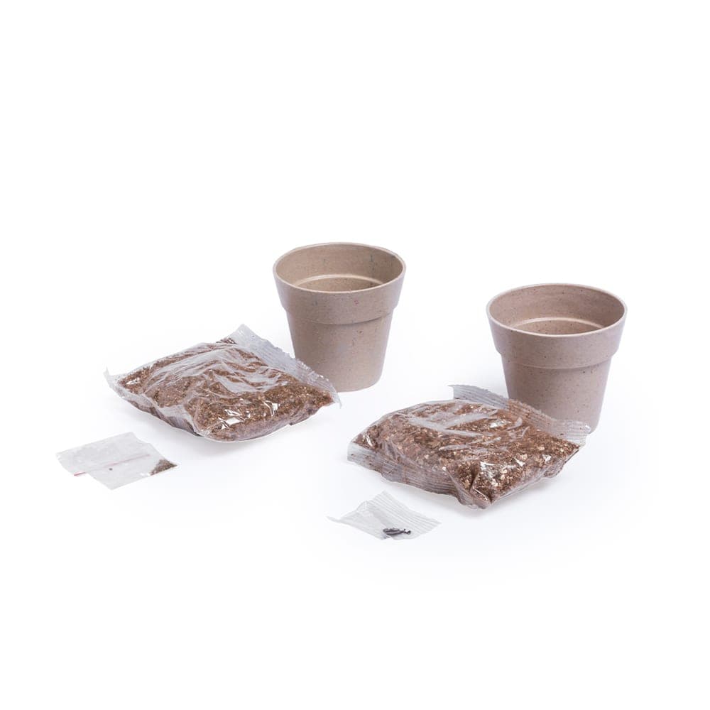 Set Pot de Fleurs