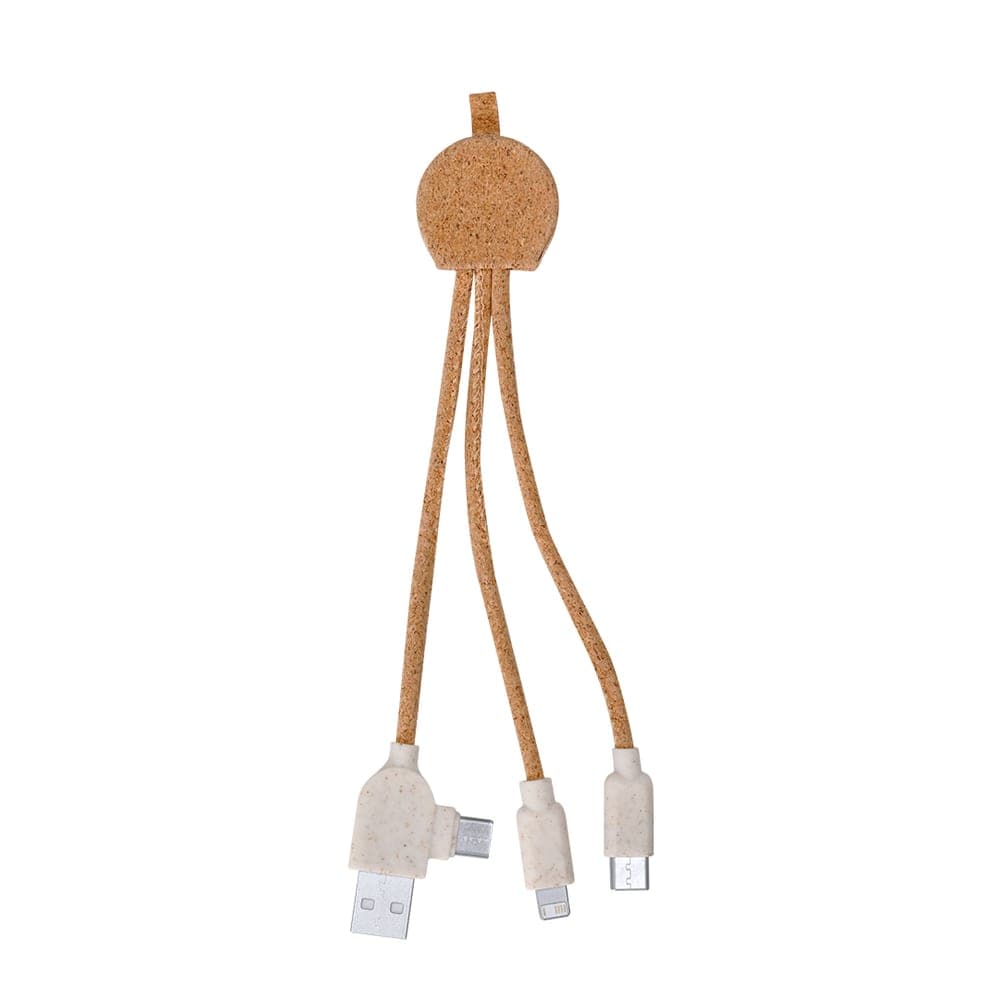 Câble de Charge